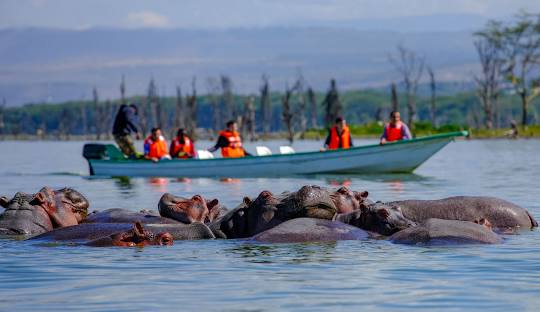 Naivasha Day Trip